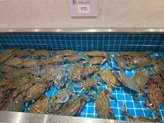 -腾阁自助餐厅(朝林广场店)