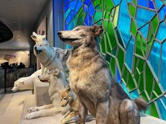 -上海博物馆(人民广场馆)