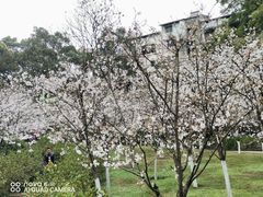 -南山植物园
