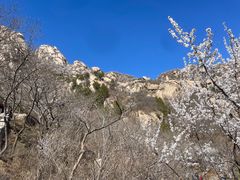 -北京凤凰岭