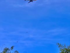 -前小桔亲子创意农场·草莓采摘·露营烧烤