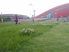 -南京奥林匹克体育中心-体育馆