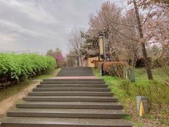 -清凉山国家森林公园