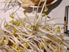 -川味堂·四川豆花(八卦岭店)
