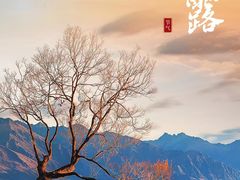 -裕和堂中医推拿艾灸(太古汇臻品店)