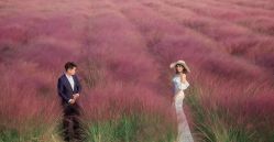 点击看大图 -女王风尚STUDIO·轻奢化定制