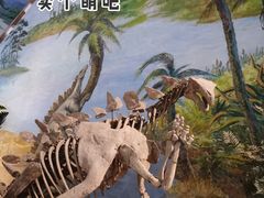 -自贡恐龙博物馆