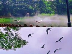 -广州长隆飞鸟乐园