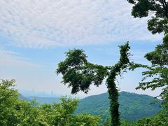 -老山国家森林公园