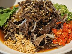 -天辣(金桥啦啦宝都店)