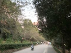 -武汉大学-樱园