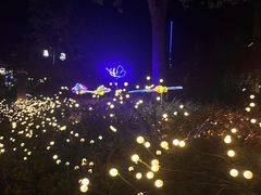 -合肥融创乐园
