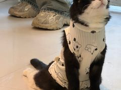 -平行世界·猫咖(首经贸店)