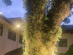 -普陀山雷迪森庄园