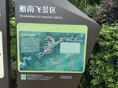 -雁南飞茶田景区