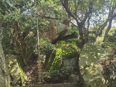 -普陀山风景区-佛顶山