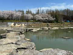 -滆湖低碳生态公园