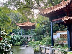 -广州兰圃