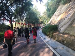 -金鸡山公园