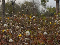 -天津东丽湖风景区
