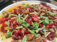 -青城甲(青城山店)