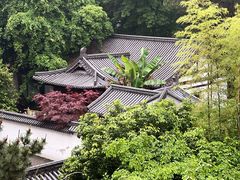 -唐风温泉