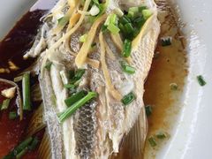 -海上驿站渔家菜馆