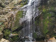 -江西阳明山国家森林公园