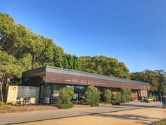 -星巴克(大濠公园店)