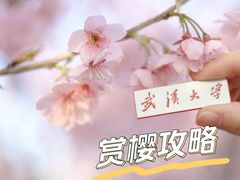 -武汉大学-樱园