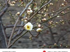 -北京明城墙遗址公园