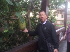 -海南槟榔谷黎苗文化旅游区