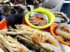-舒友海鲜姿造(白鹭洲店)