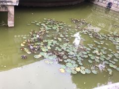 -上海市总工会沪东工人文化宫