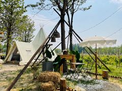 -安德鲁户外烧烤帐篷营地(马泉营店)