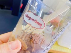 -哈根达斯(石家庄北国店)