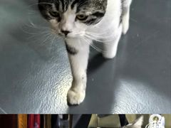 -蓝天射箭馆·专业射箭运动(诚丰广场店)