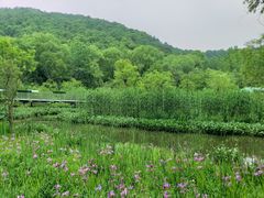 -西湖风景区-江洋畈生态公园