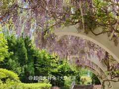 -济南植物园
