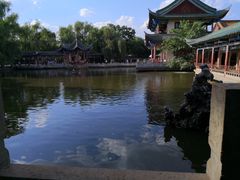 -MAP CHA普洱茶馆(翠湖店)