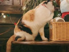 -BUND·FIVE外滩5号(天际店)