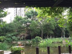 -新湖明珠城