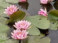 -嘉北郊野公园