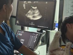 -嘉馨宠物医院·CT影像转诊·心脏科·犬猫全科诊疗中心(下沙大学城院区)