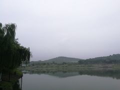 -羊山湖公园