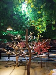 -酷嗒动物文化乐园(cutezoo西溪乐天城店)