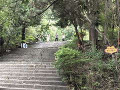 -西华公园