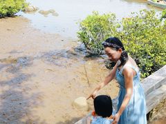 -东寨港红树林旅游区