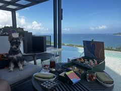-瑰丽酒店·海吧·天际下午茶·现场DJ·天台酒吧