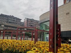 -蘭亭·新都汇
